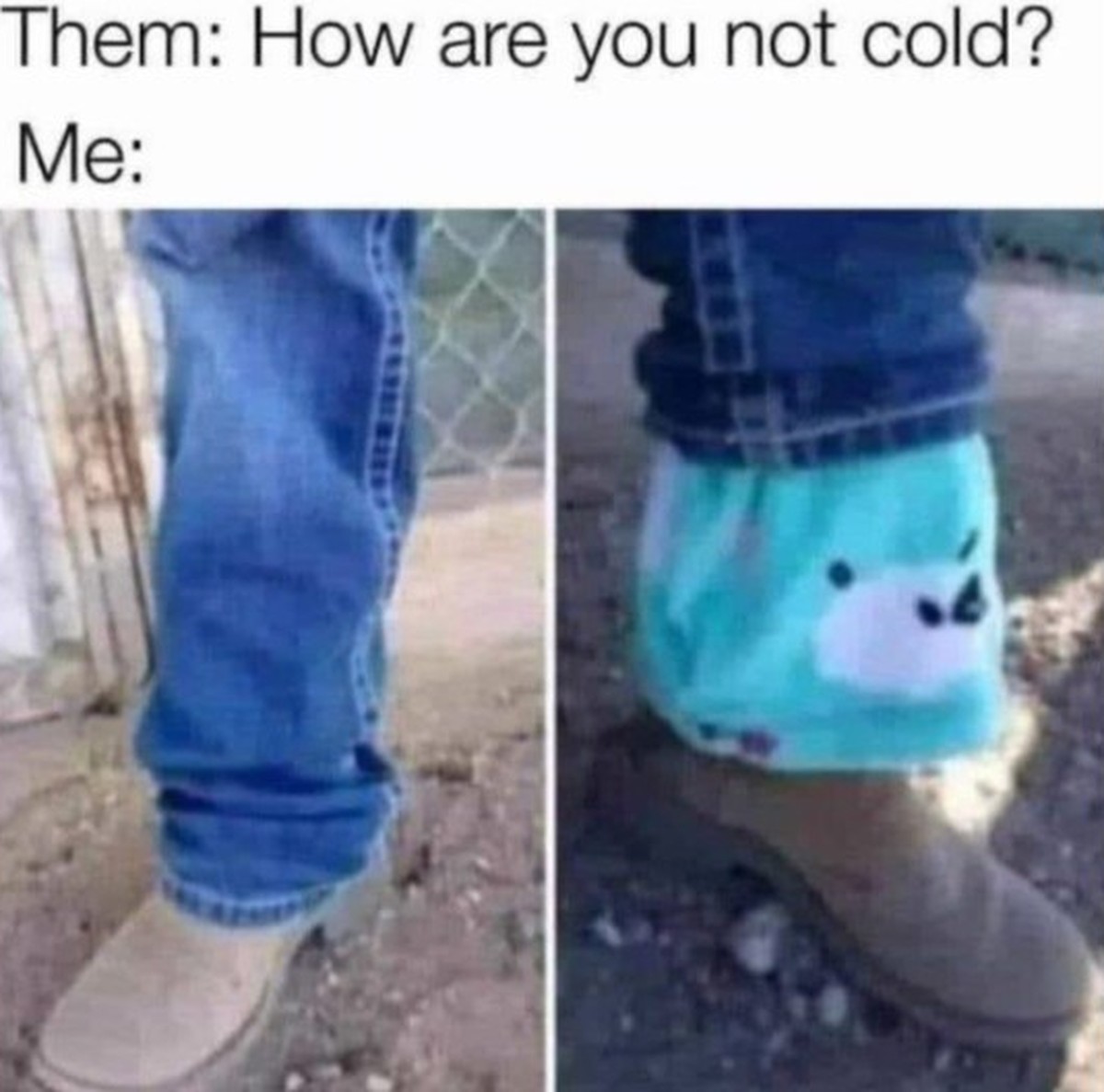 Winter Memes