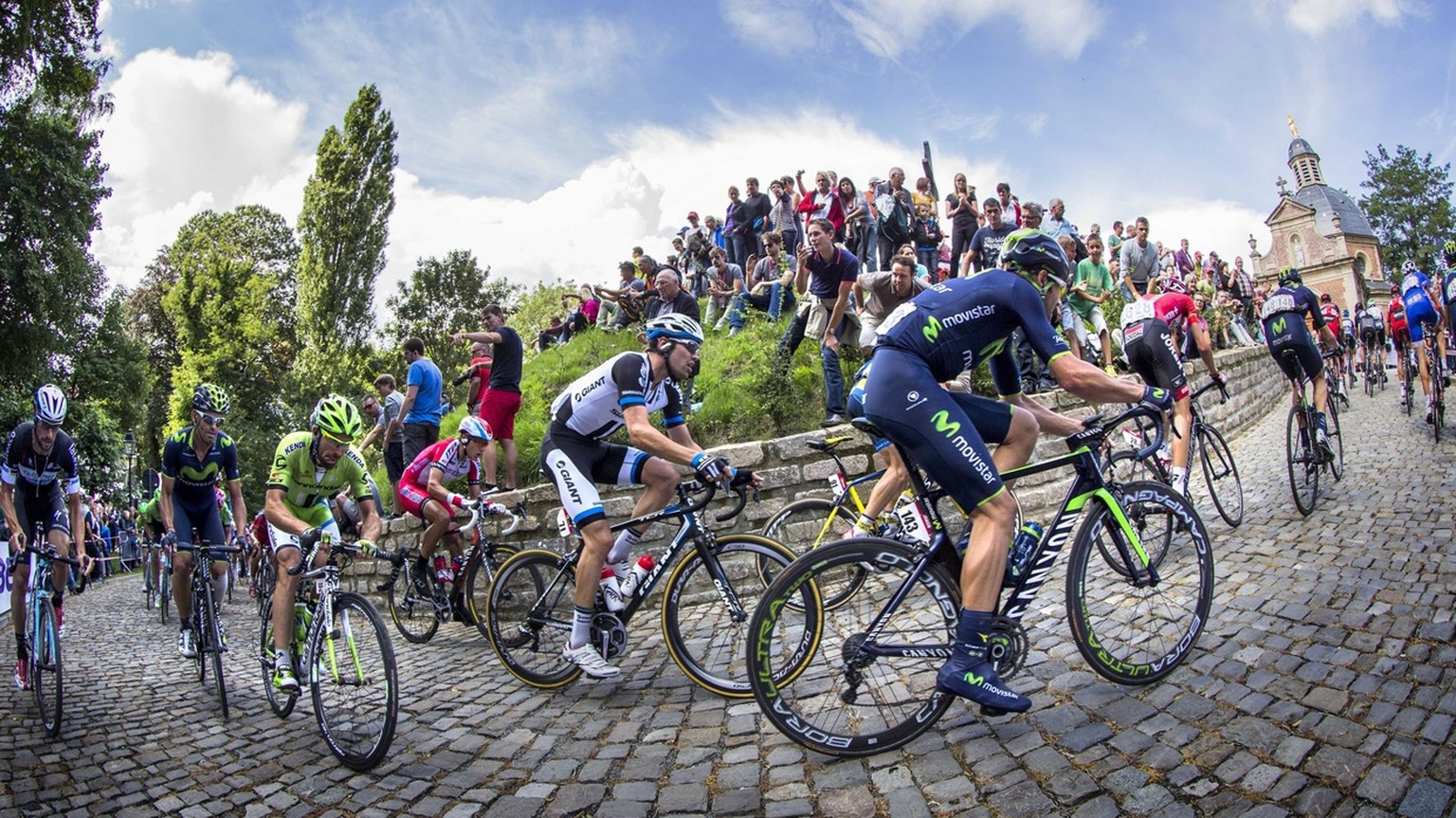 epa04355191 Dutch Tom Dumoulin (C) of Team Giant-Shimano in action during the fifth stage of the Eneco Tour cycling race, 160,3 km from Geraardsbergen to Geraardsbergen, 15 August 2014. The tour runs  ...