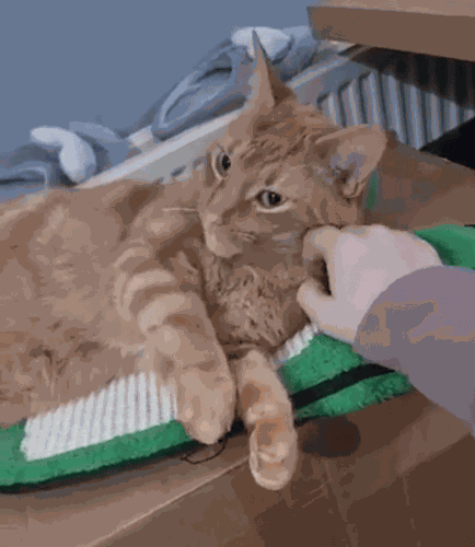 Animiertes GIF