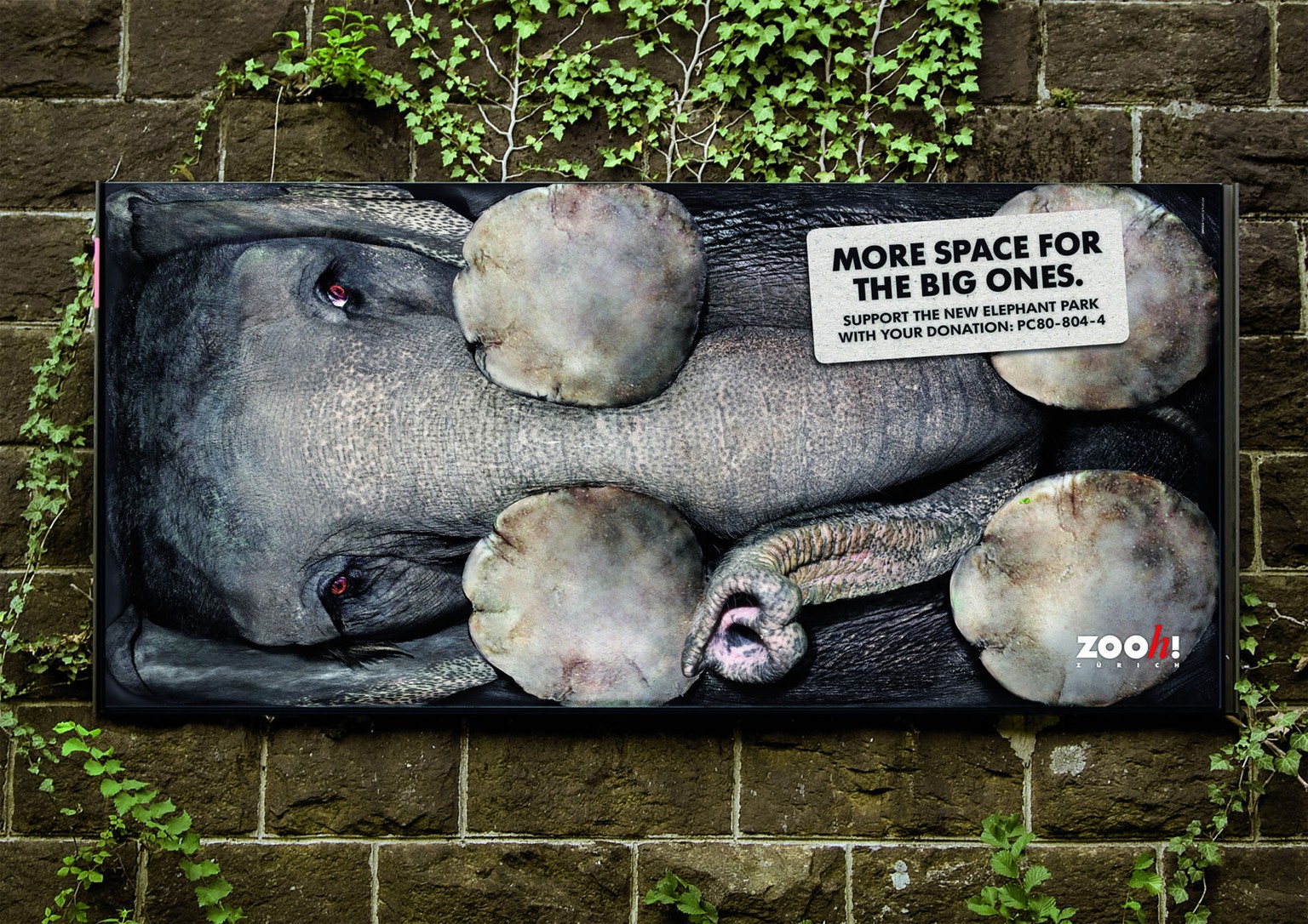Mit diesen Plakaten hat der Zürich Zoo die Leute für eine Spende für den neuen Elefantenpark begeistern können.&nbsp;
