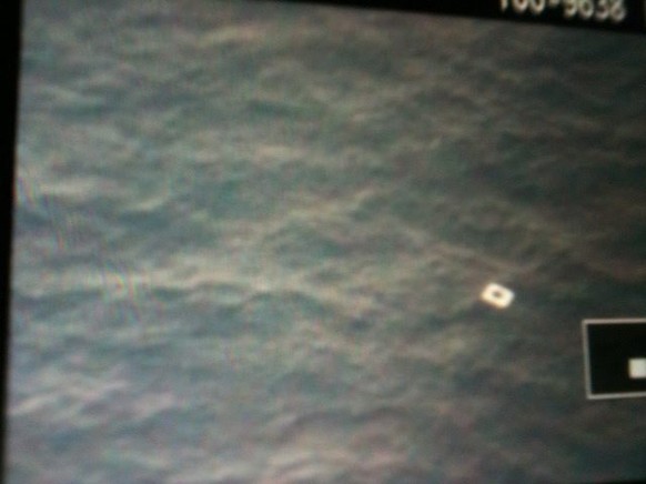 epa04117077 A picture taken by personell of a Vietnamese search aircraft and made available by Tienphong.vn on 09 March 2014 shows what is believed to be a piece of debris of missing Malaysia Airlines ...