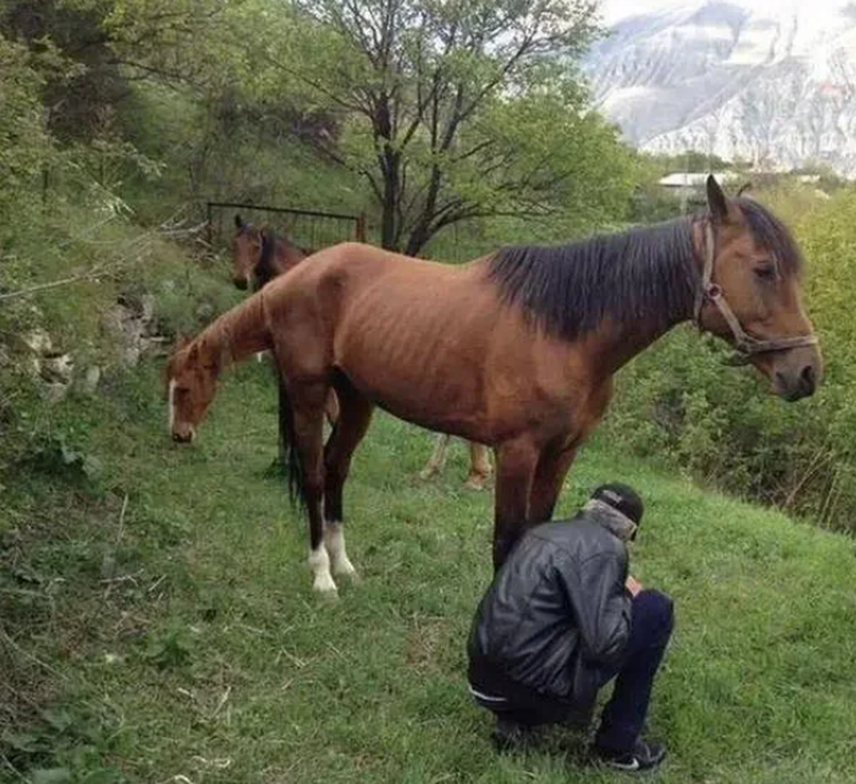 Die lustigsten Fails der Woche