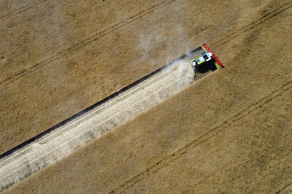 A farmer harvests a field near Derenburg, Germany, Wednesday, July 20, 2022. (AP Photo/Matthias Schrader)