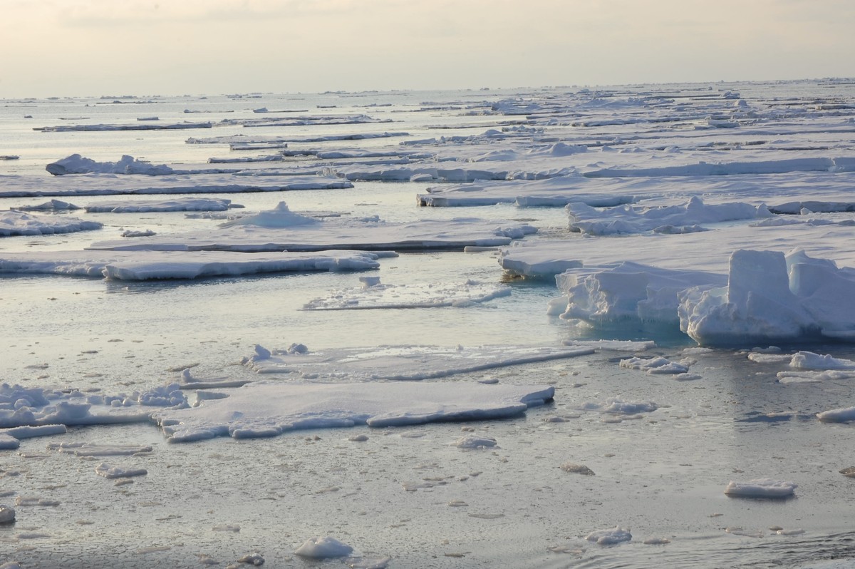 In this photo provided by Dirk Notz, taken, April 25, 2009, ice floats in the Arctic near Svalbard, Norway. At current carbon emission levels, the Arctic will likely be free of sea ice in September ar ...