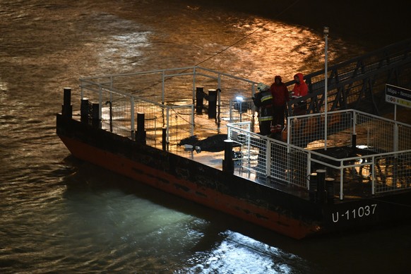 epa07611444 Rescuers and police officers stand on a landing dock after a tourist boat crashed with another ship, overturned and sank in the River Danube, in Budapest, Hungary, 29 May 2019, killing at  ...