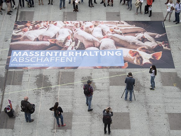 Der Bundesrat will zentrale Aspekte der Massentierhaltungsinitiative aufnehmen und hat dazu einen direkten Gegenentwurf in die Vernehmlassung geschickt. (Archivbild)