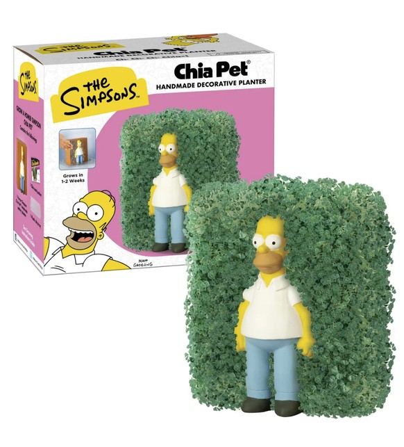 Vorstellung vs. Realität