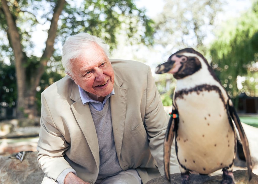 DAVID ATTENBOROUGH in ATTENBOROUGH AND THE GIANT SEA MONSTER (2024), directed by VICTORIA BOBIN. Copyright: BBC STUDIOS