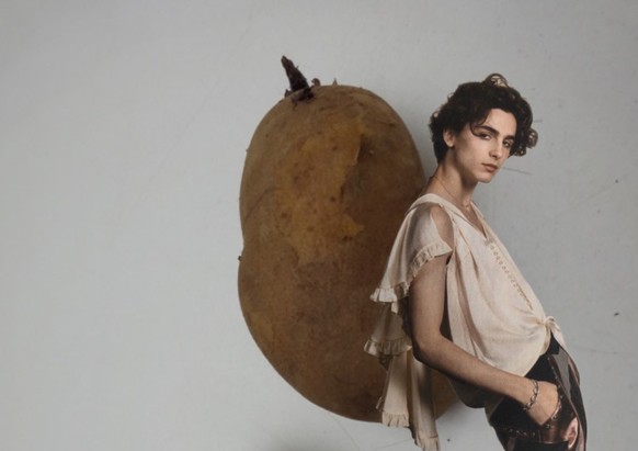 Timothée Chalamet lehnt an einer Mandelkartoffel (Collage)