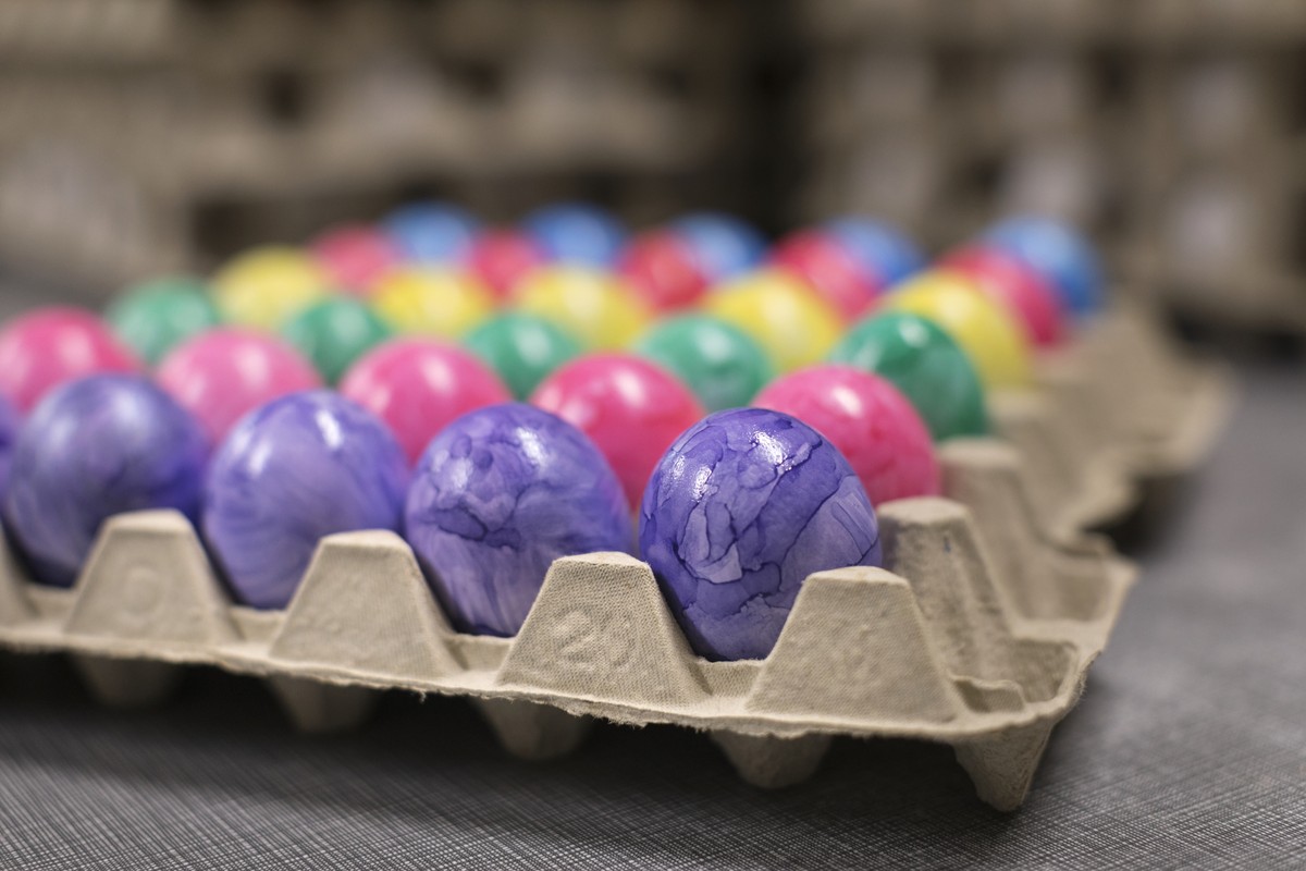 ZUR OSTEREIERVERARBEITUNG DES GEFLUEGELHOFS DAETWYLER STELLEN WIR IHNEN HEUTE FOLGENDES BILDMATERIAL ZUR VERFUEGUNG --- Colored Easter eggs in an egg carton on the poultry farm Daetwyler in Oberwangen ...