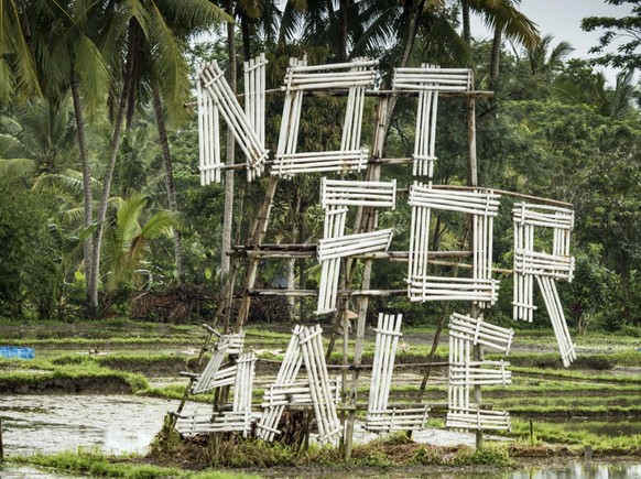 Auf Bali gibt es schon seit Jahren Protest gegen die Umwandlung von Reisfeldern in Hotelanlagen.