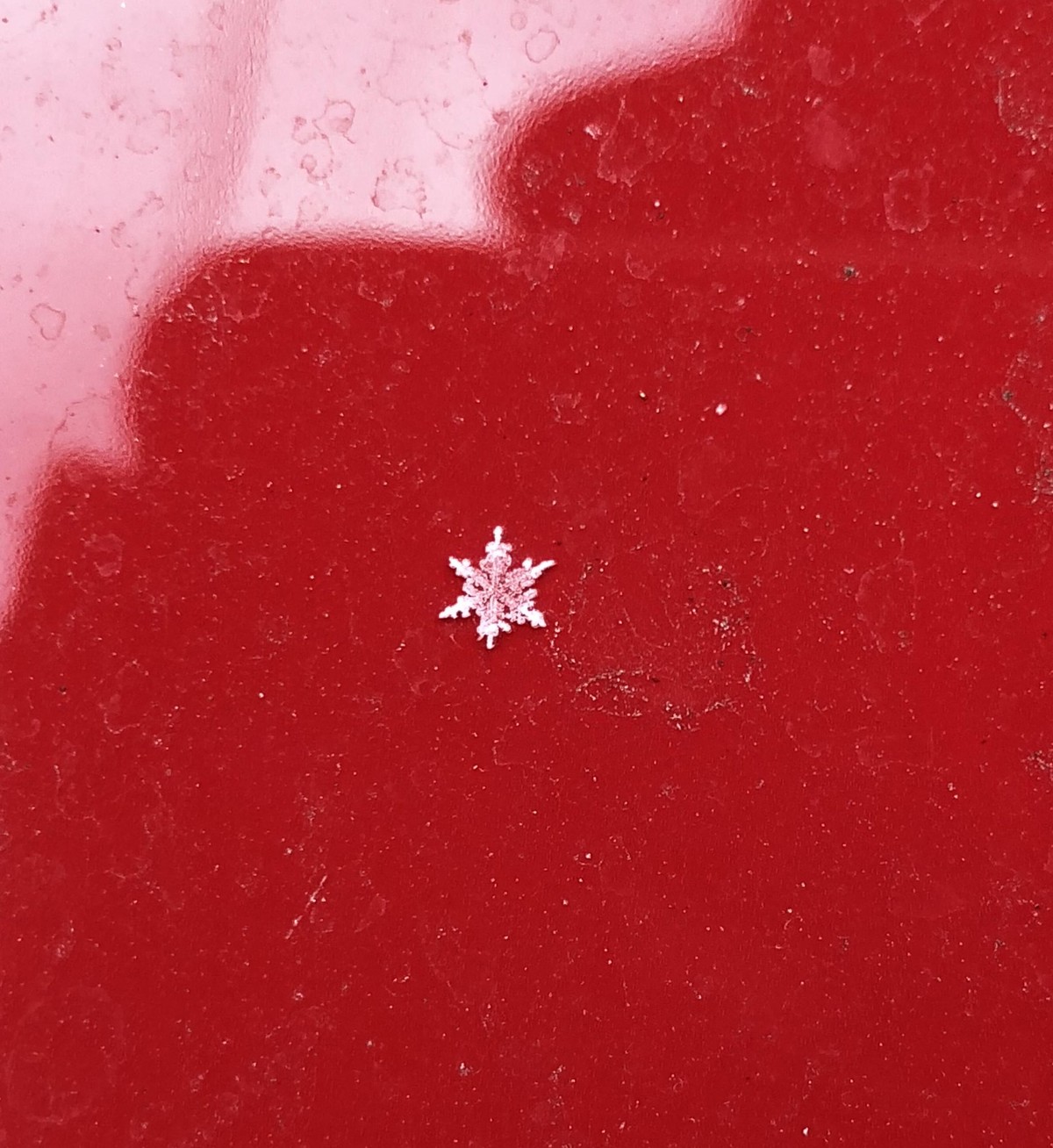 Schneeflocke auf Auto