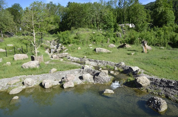 das bärengehege in goldau