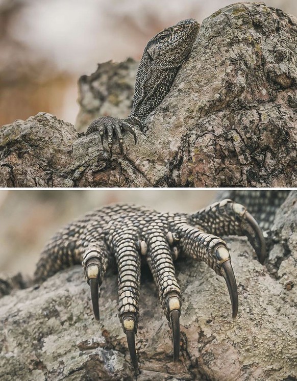 cute news tier echse

https://www.instagram.com/nileshpshah/p/C4K9O-MqyDJ/