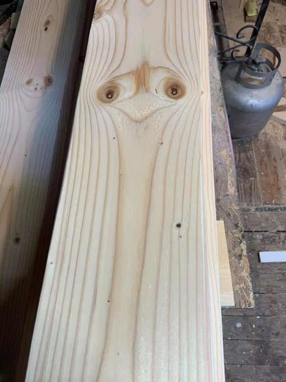 wooden ostrich