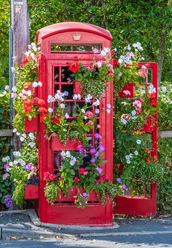 Repurposed red telephone booth as a flower display.