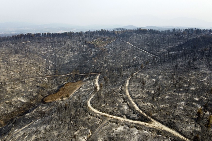A burnt forest in Agia Anna village on Evia island, about 181 kilometers (113 miles) north of Athens, Greece, Wednesday, Aug. 11, 2021. Hundreds of firefighters from across Europe and the Middle East  ...