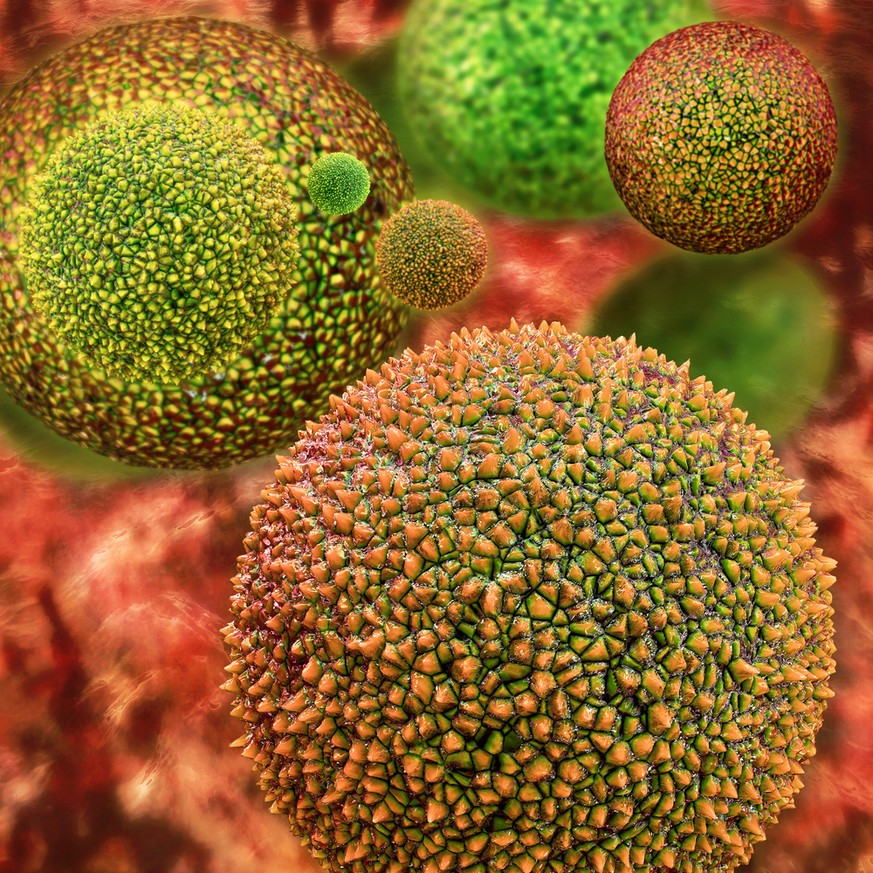 Makroaufnahmen von Pollen