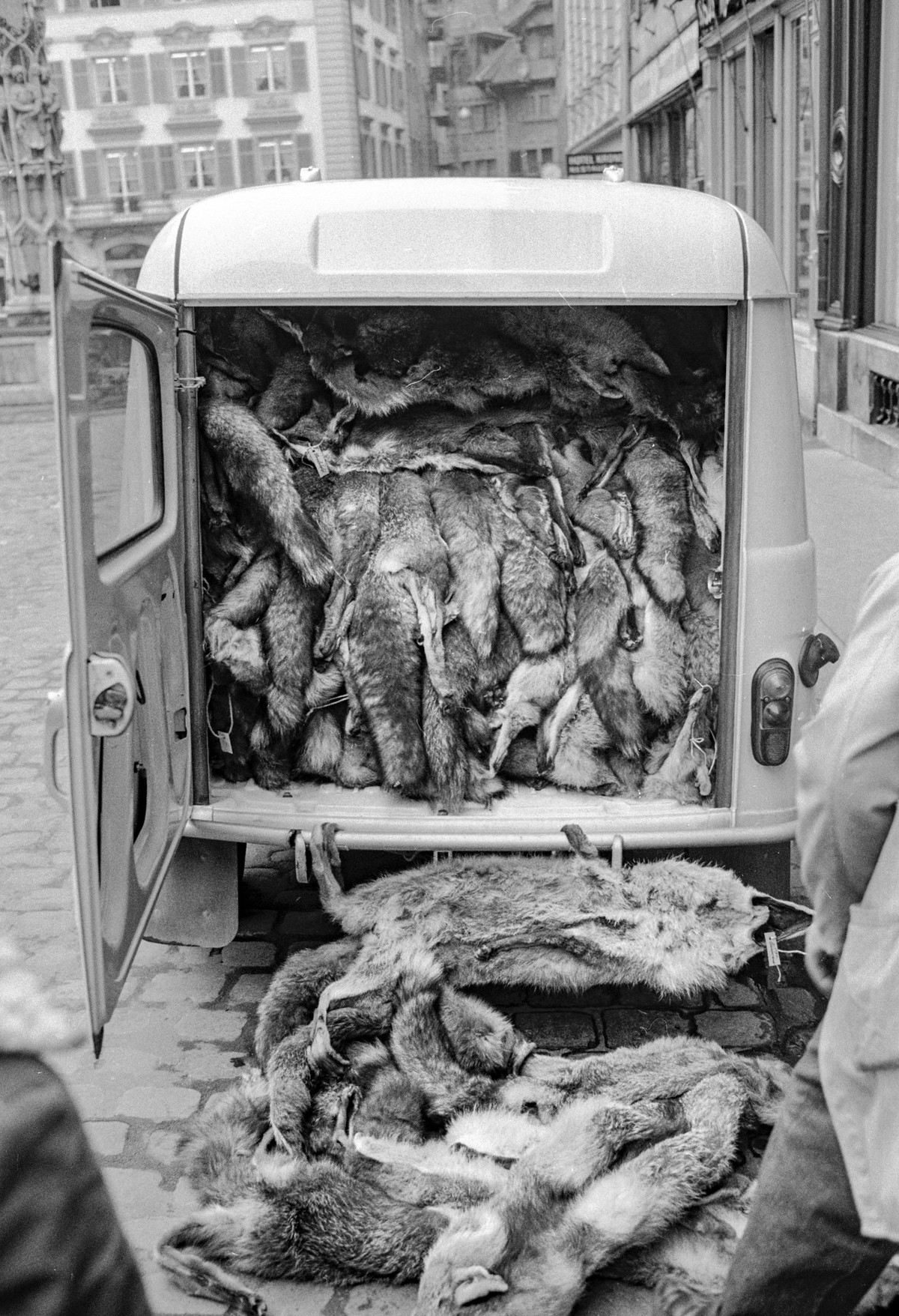 A van stuffed with furs at the Central Swiss Fur and Coat Market in Lucerne, taken on 20 February 1974. (KEYSTONE/PHOTOPRESS-ARCHIV/Str)

Ein mit Pelzen vollgestopfter Lieferwagen beim Zentralschweize ...