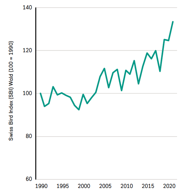 Artenvielfalt im Wald gemäss Swiss Bird Index der Vogelwarte
Sempach (SBI) für den Wald
Der SBI zeigt bei den Waldvögeln seit 1990