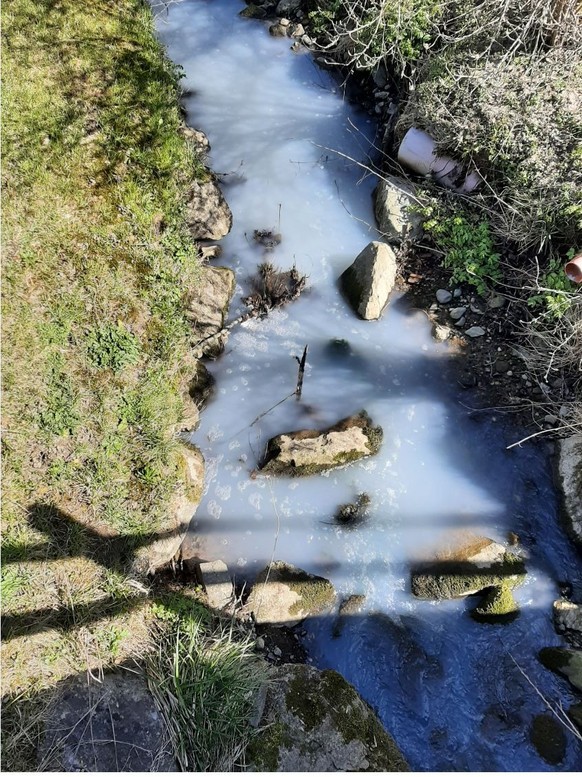 Milch in Bach verschmutzt