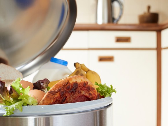 Food waste lebensmittelverschwendung wegwerfen abfall essensresten resteverwertung