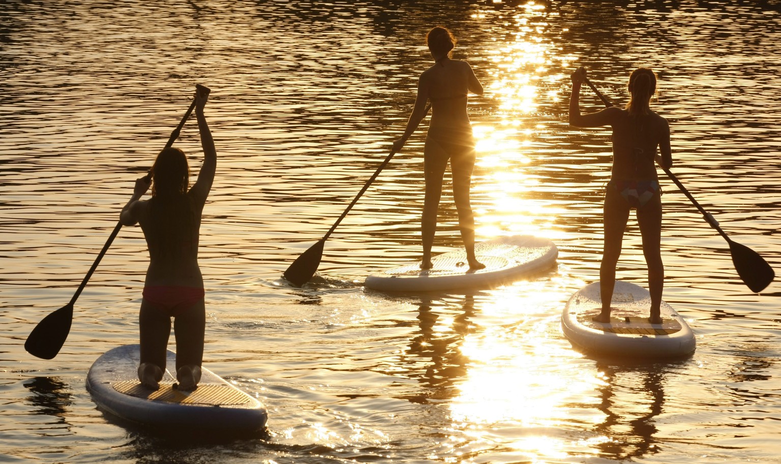 epa04836368 A photo made available 08 July 2015 of members of the SOULnok SUP group paddling their boards on the backwater of the river Tisza of Alcs in Szolnok, some 100 kilometers southeast from Bud ...