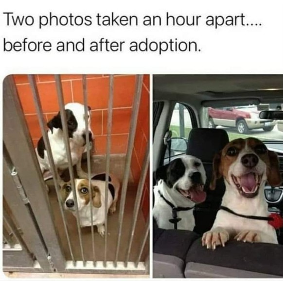 19 Memes, die einfach ans Herz gehen ❤ – Teil zwei