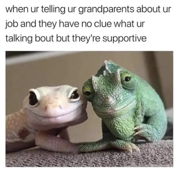 Gecko-Meme in Cute News