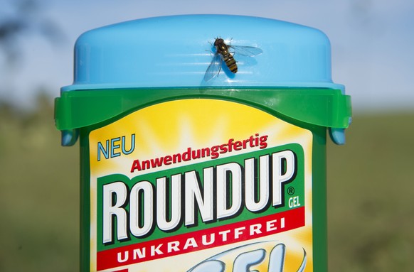 epa06942458 (FILE) - The herbicide Roundup, which contains glyphosate, pictured in a garden in Hoechenschwand, Germany, 18 October 2017 (reissued 11 August 2018). Roundup is manufactured by the Monsan ...