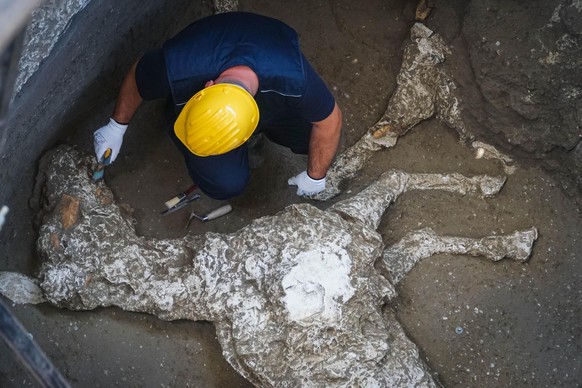 In this picture taken Thursday, May 10, 2018, an archeologist works near the remains of a horse which were found in a stable of a Pompeii villa, near Naples, Southern Italy. Archeologists immediately  ...