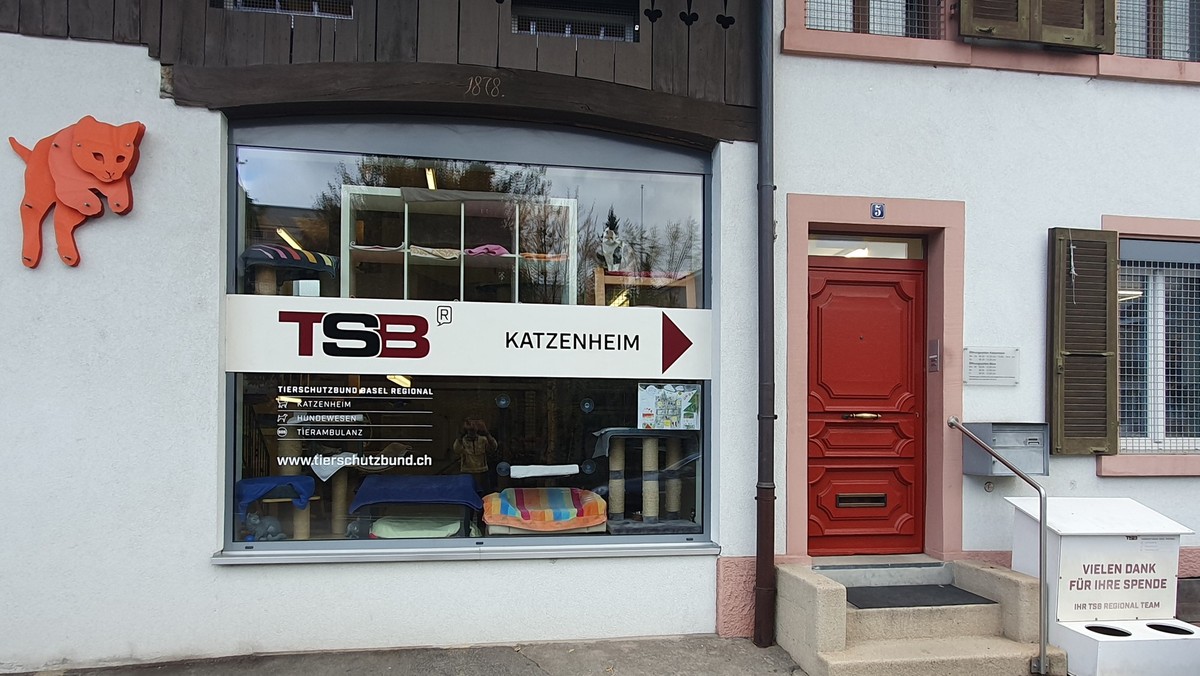 Das Katzenheim in Muttenz, wie man es von der Strasse aus sieht. Dass das Tierheim aus viel mehr als nur diesem Gebäude besteht, werde ich bald erfahren.
