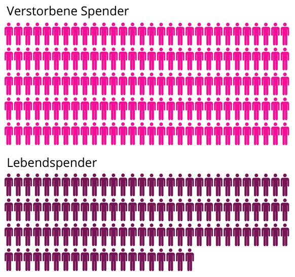 Grafik Spender