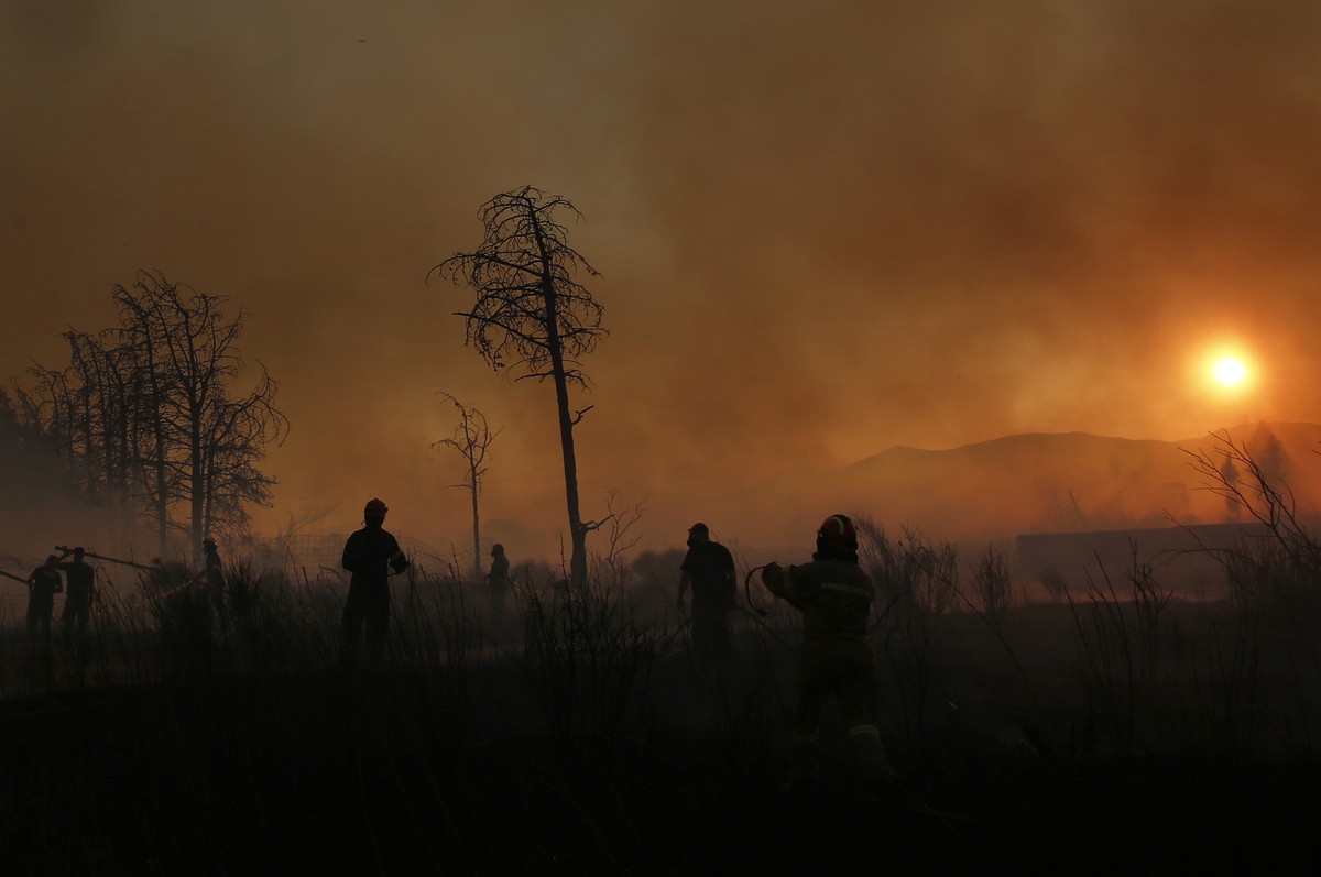 epa12264488 Firefighters and volunteers battle a wildfire in the area of Kryoneri, in the suburbs of Athens, Greece, 26 July 2025. Firefighting forces are battling the wildfire that broke out in Kryon ...