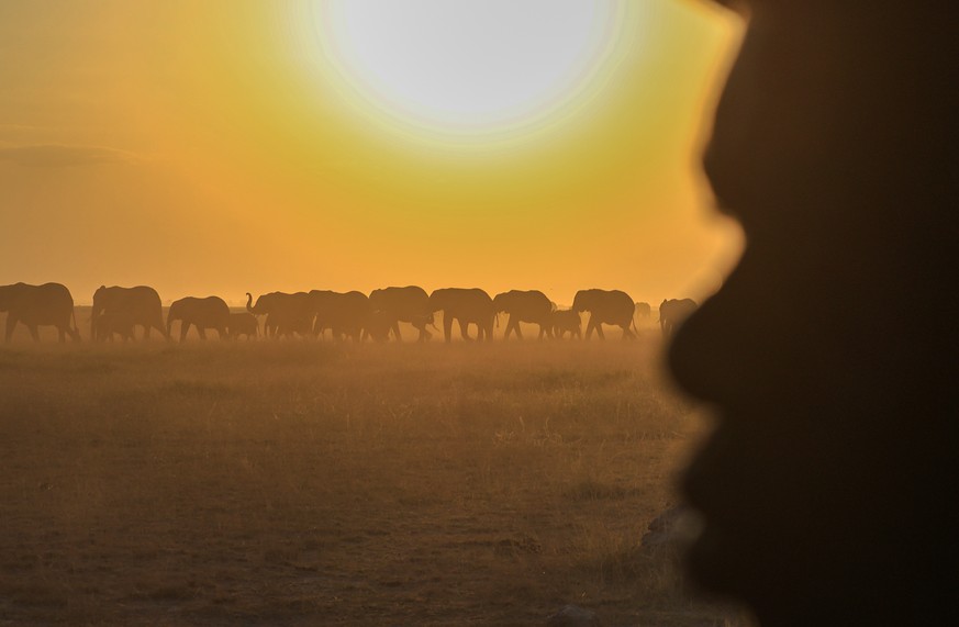 KEYPIX - A herd of elephants walks across Amboseli National Park in Kajiado County, Kenya, Wednesday, Aug. 5, 2026. (AP Photo/Andrew Kasuku)