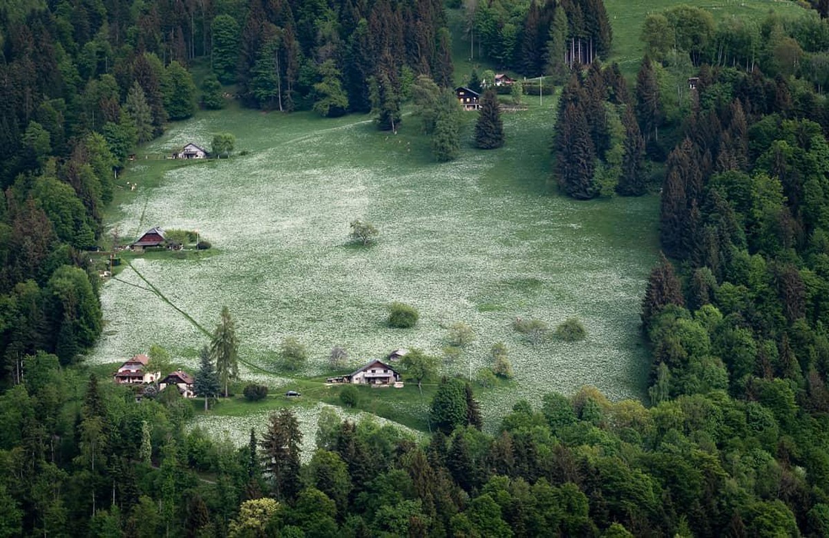 Les Avants, Maischnee