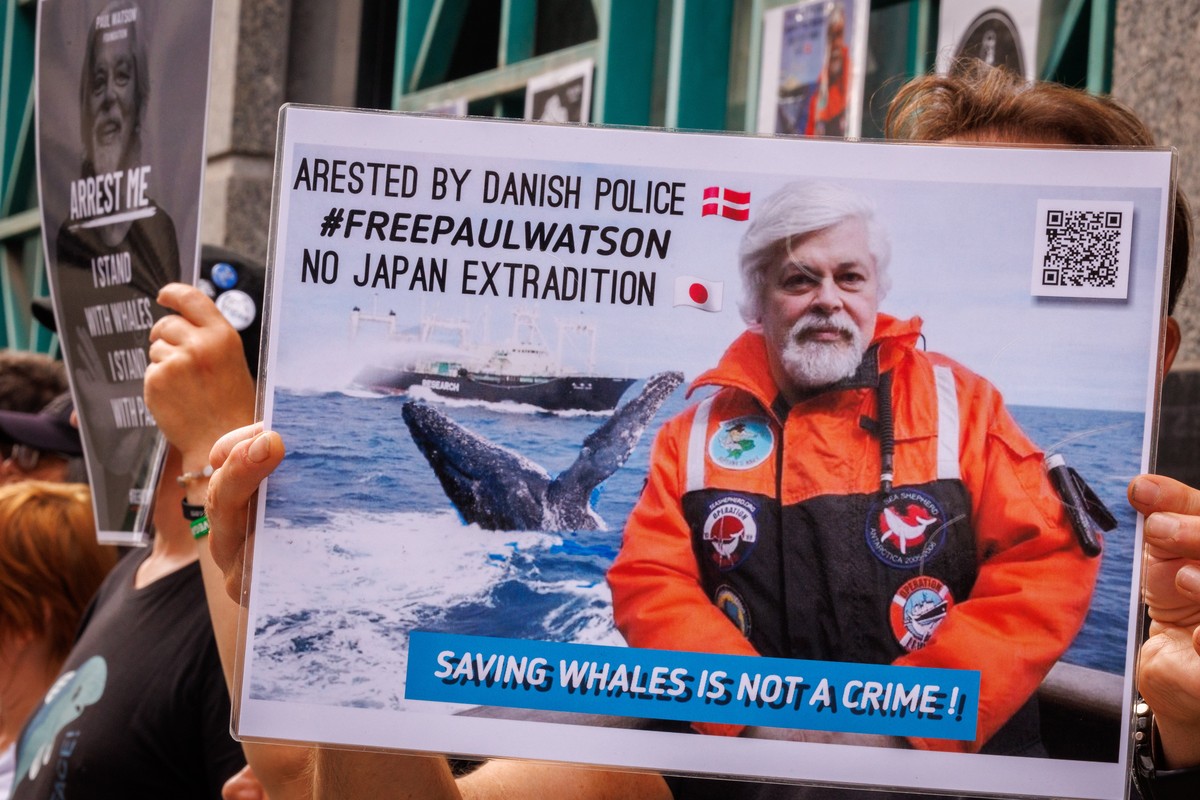 epa11518864 Peaceful citizens rally in support of NGO 'Sea Shepherd' founder Paul Watson to demand his immediate release in front of the Embassy of Denmark in Brussels, Belgium, 02 August 20 ...