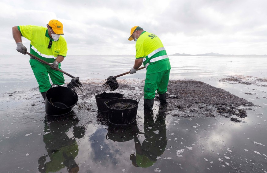 epa08460195 Municipal workers clean Los Urrutias beach at the Mar Menor in Murcia, Spain, 02 June 2020. According to the regional Government, the state of the area has worsen in the last days having t ...