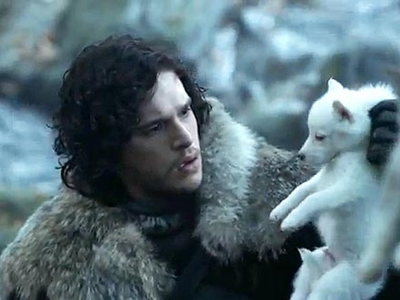 game of thrones direwolf