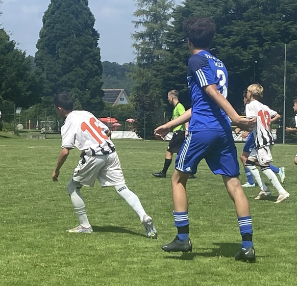Wichtige Informationen für die Scouts: Je höher die Nummer, desto verzögerter die biologische Entwicklung des Spielers.