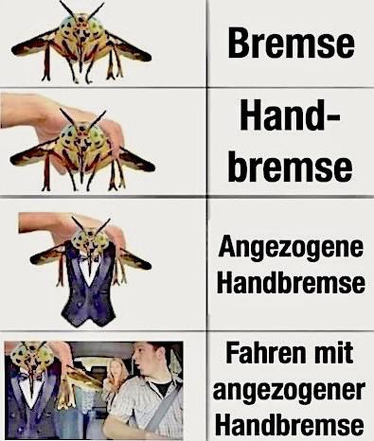 PICDUMP 389 тАУ jetzt mit echter Kunst von ... Warhold ЁЯЩГ\nNe Bremse. Ne tolle Sache so ne Bremse.