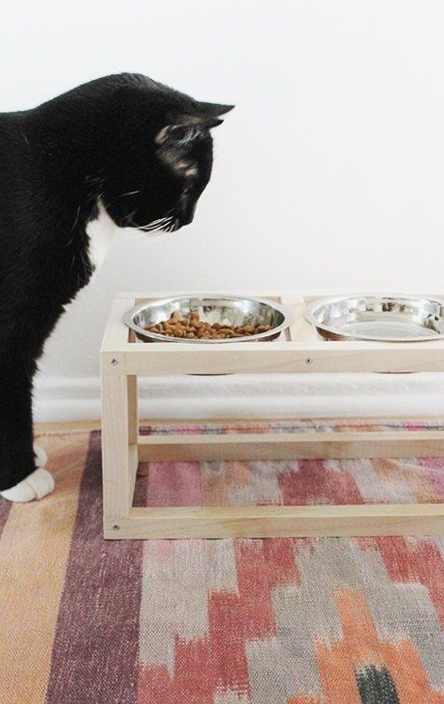 8 clevere Gestaltungsideen für dein Leben mit Katze