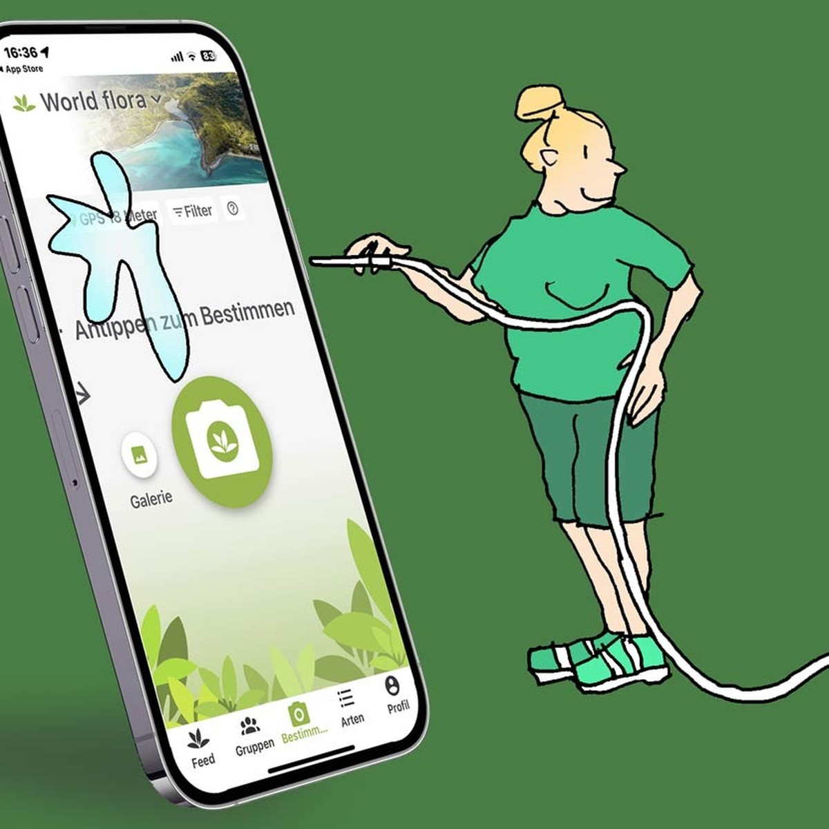 Mit diesen Gratis-Apps kannst du ganz einfach Pflanzen bestimmen
