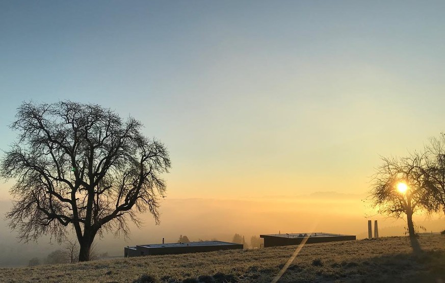 Tiefe Steuern und auch noch (manchmal) über dem Nebel: Geltwil.