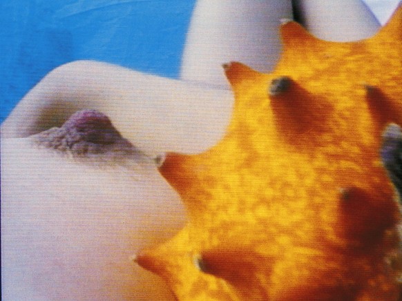 «Pickelporno» von Pipilotti Rist