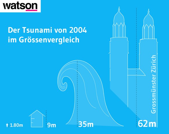 Die Monsterwelle von 2004 im Vergleich zum Zürcher Grossmünster, einem Haus und einem Menschen.&nbsp;