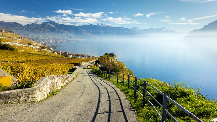 Rivaz Lac Leman (Bild: Fotolia)