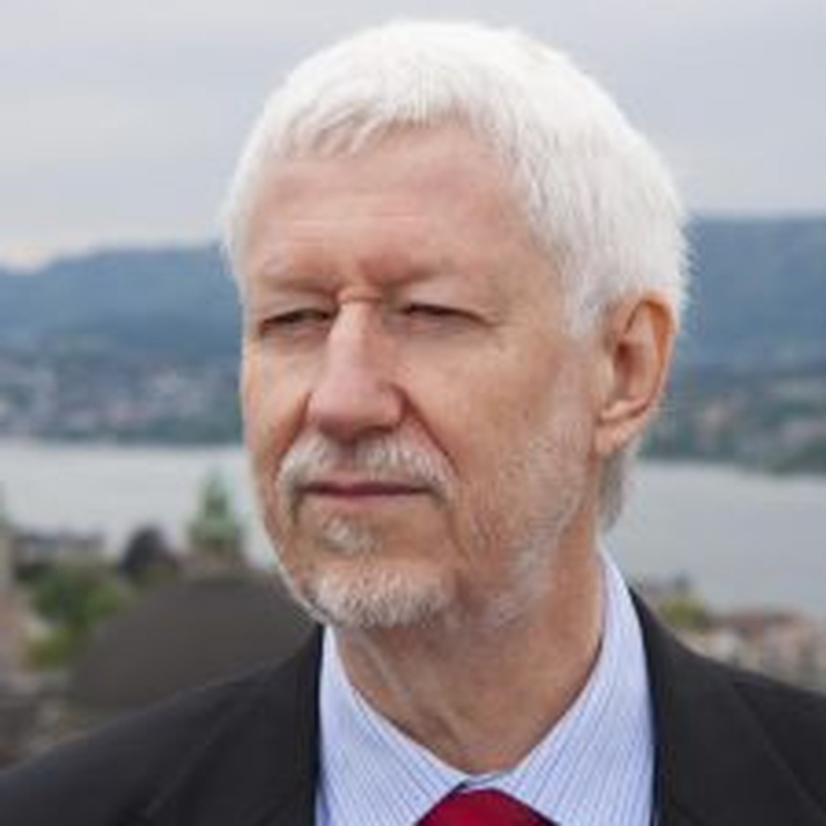 ETH-Forscher Andreas Fischlin.