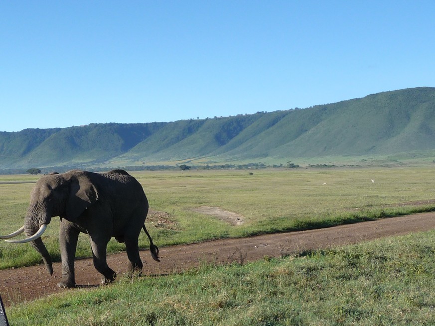 Ngorongoro-Krater, Serengeti-Nationalpark, Tansania