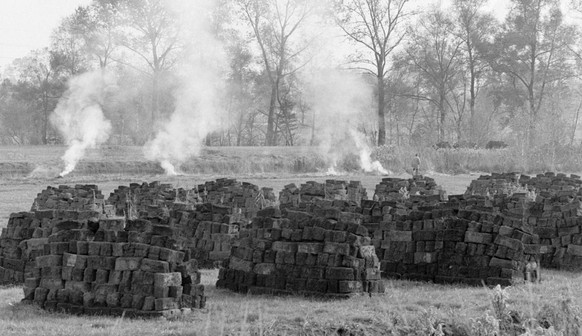 Torfabbau unmittelabr neben dem unter Schutz gestellten Talmoor in Oberriet, Kanton St. Gallen, aufgenommen am 10. November 1988. Noch immer wird in der Schweiz Torf gestochen und als Brennmaterial ve ...